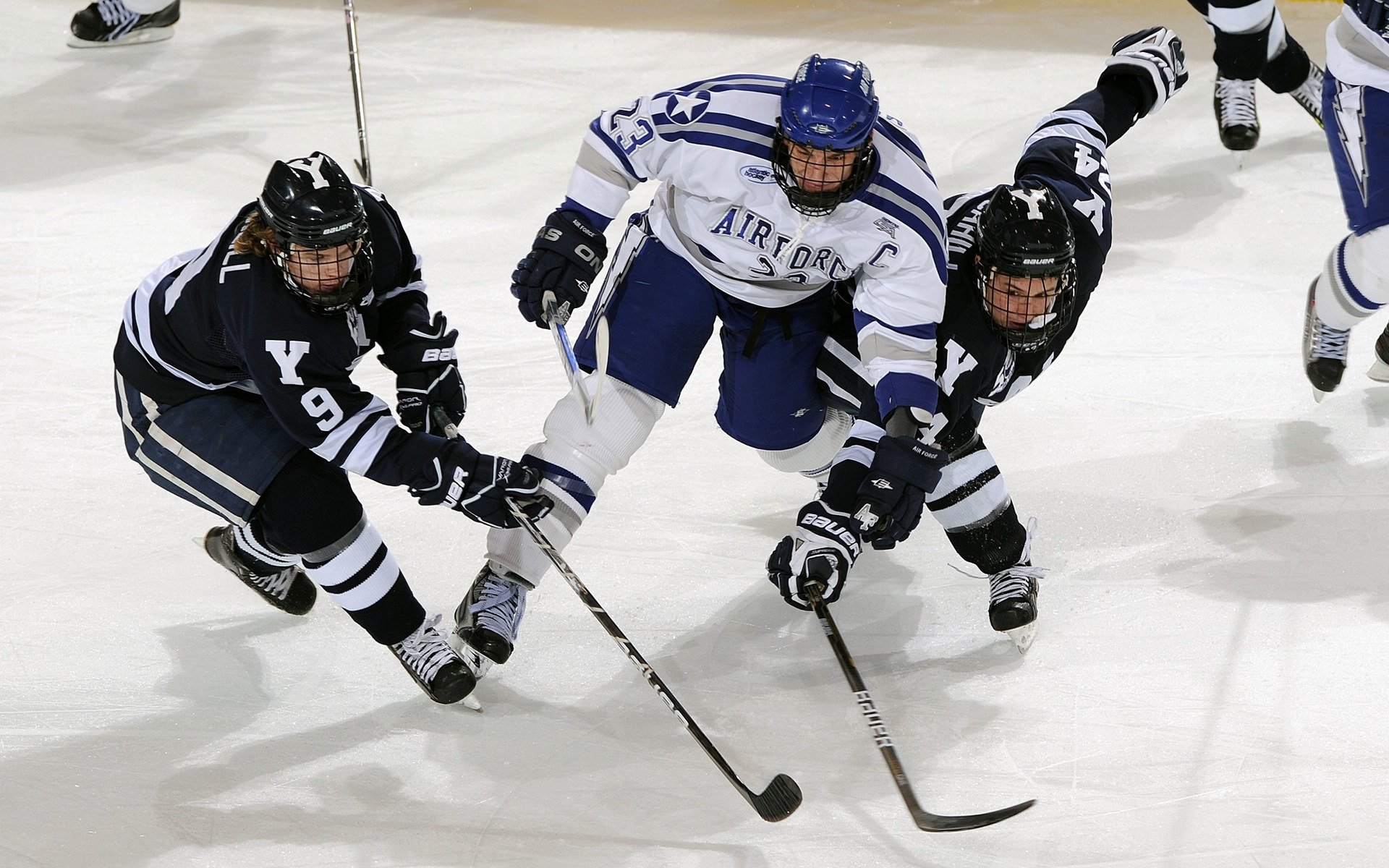 “萨尔·巴赫：南非新一代橄榄球天才”